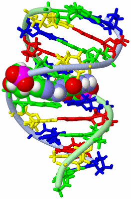 Image NMR Structure - model 1