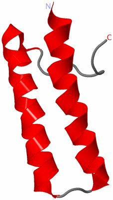 Image NMR Structure - model 1