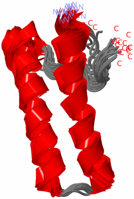 Image NMR Structure - all models