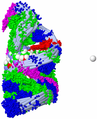 Image NMR Structure - all models