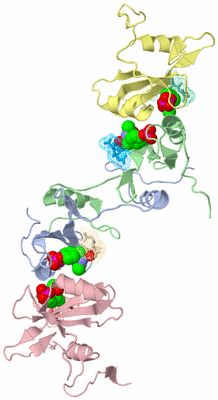 Image Biological Unit 3