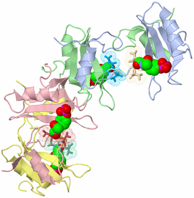 Image Biological Unit 4