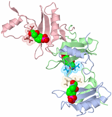 Image Biological Unit 5