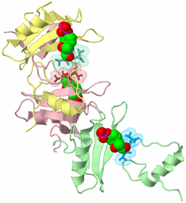 Image Biological Unit 6