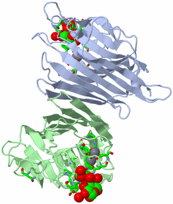 Image Asym./Biol. Unit - sites