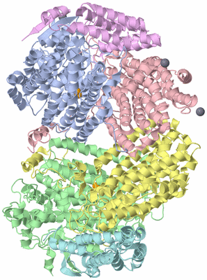 Image Asym./Biol. Unit