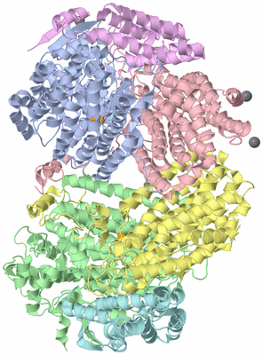 Image Asym./Biol. Unit