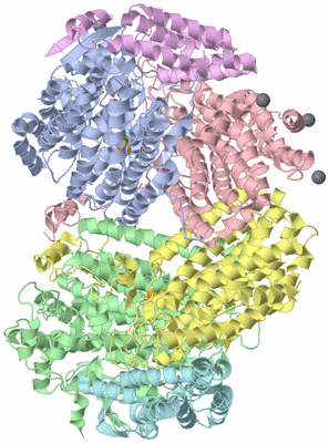 Image Asym./Biol. Unit