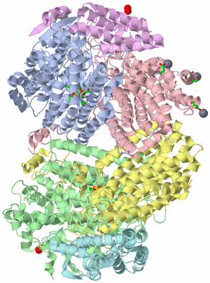 Image Asym./Biol. Unit - sites