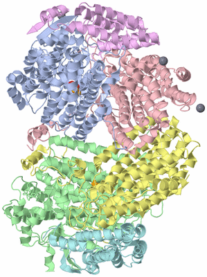 Image Asym./Biol. Unit