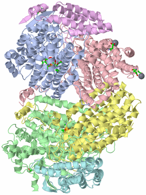 Image Asym./Biol. Unit - sites