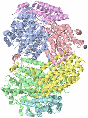 Image Asym./Biol. Unit