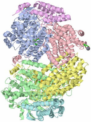 Image Asym./Biol. Unit - sites