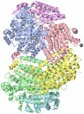 Image Asym./Biol. Unit