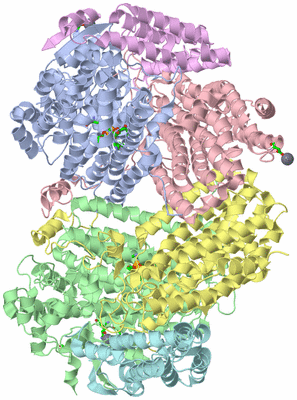 Image Asym./Biol. Unit - sites