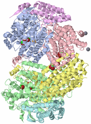 Image Asym./Biol. Unit