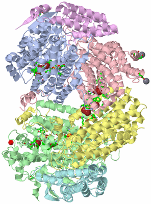 Image Asym./Biol. Unit - sites