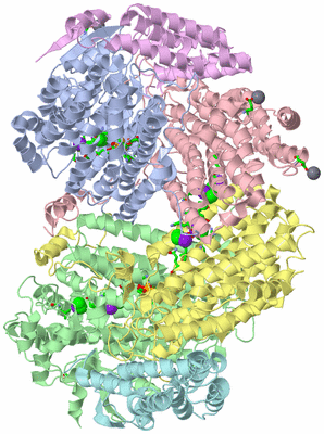 Image Asym./Biol. Unit - sites