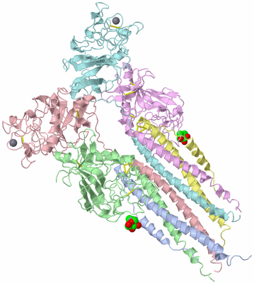 Image Asym./Biol. Unit