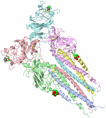 Image Asym./Biol. Unit - sites