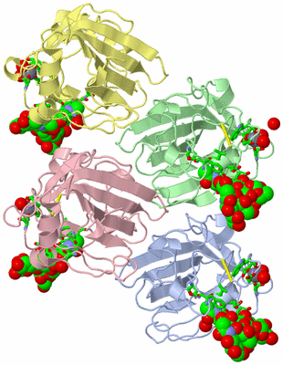 Image Biol. Unit 1 - sites