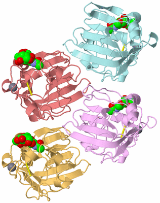 Image Biological Unit 2