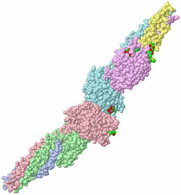 Image Biol. Unit 1 - sites