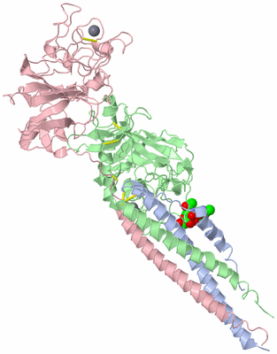 Image Biological Unit 2