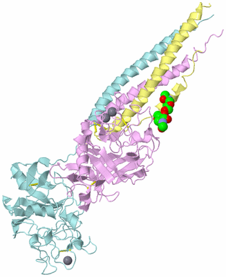 Image Biological Unit 3