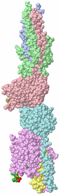 Image Asym./Biol. Unit