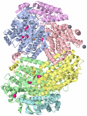 Image Asym./Biol. Unit