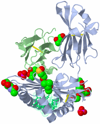 Image Biological Unit 1