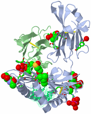 Image Biol. Unit 1 - sites