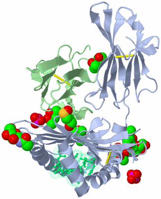 Image Biological Unit 1