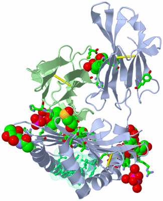 Image Biol. Unit 1 - sites