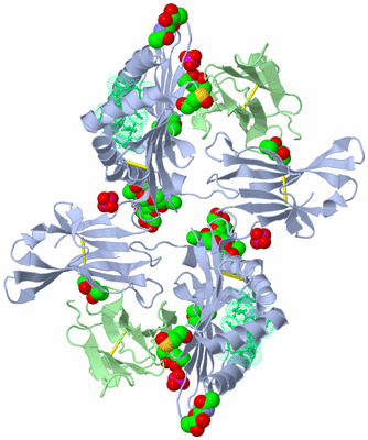 Image Biological Unit 2