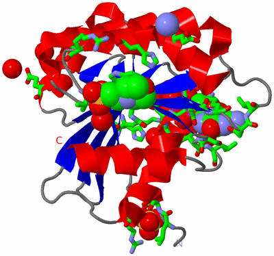 Image Asym./Biol. Unit - sites