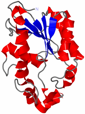 Image NMR Structure - model 1