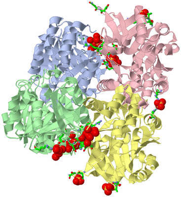 Image Biol. Unit 1 - sites