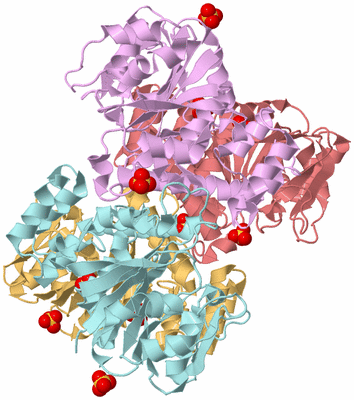 Image Biological Unit 2