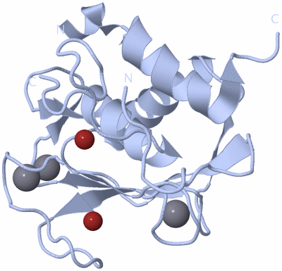 Image Biological Unit 1