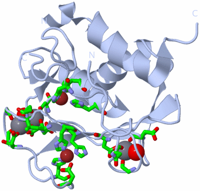 Image Biol. Unit 1 - sites