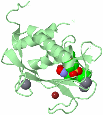 Image Biological Unit 2