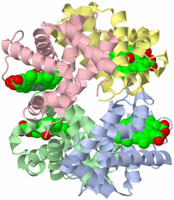 Image Asym./Biol. Unit