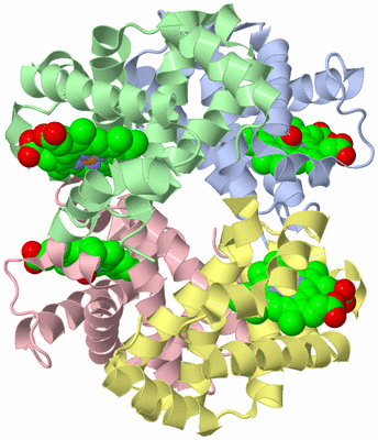 Image Asym./Biol. Unit