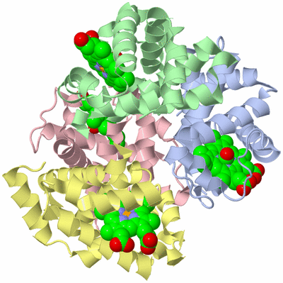 Image Asym./Biol. Unit