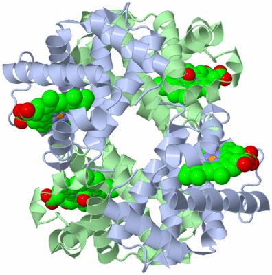 Image Biological Unit 1