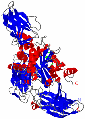 Image Asym./Biol. Unit - sites