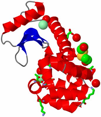 Image Asym./Biol. Unit - sites