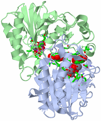 Image Asym./Biol. Unit - sites